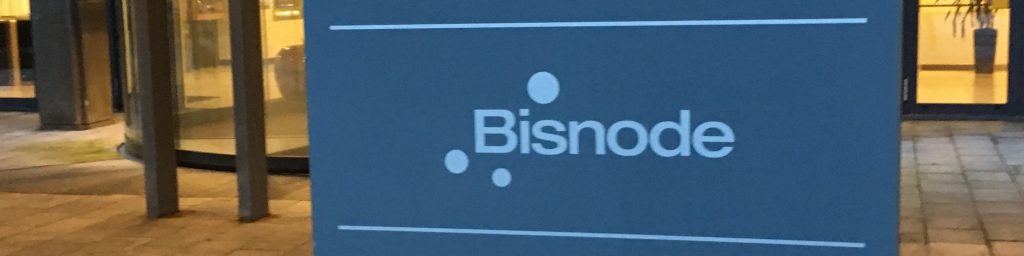 Bisnode Logo